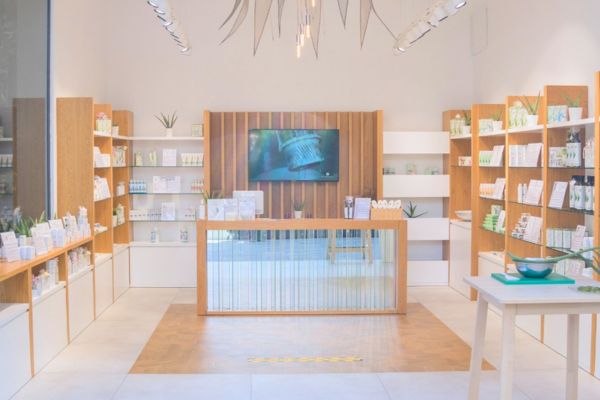 Naturliche Aloe-Vera-Kosmetik